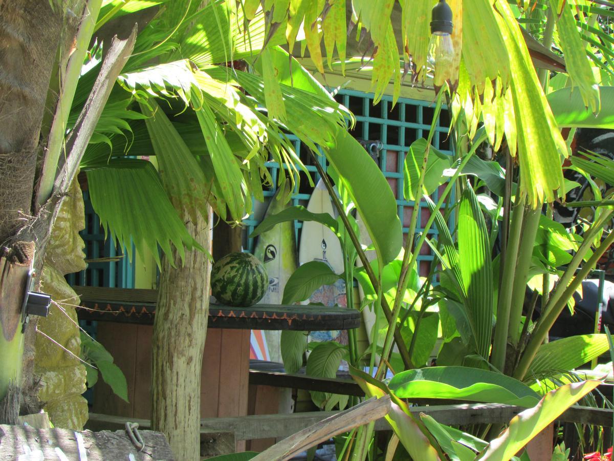 Coconut Hostel Bocas Town Exterior foto