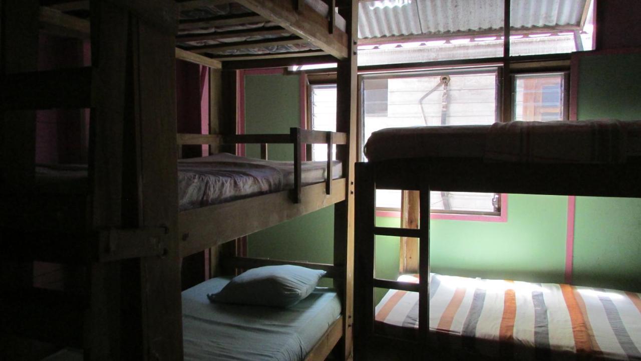 Coconut Hostel Bocas Town Exterior foto