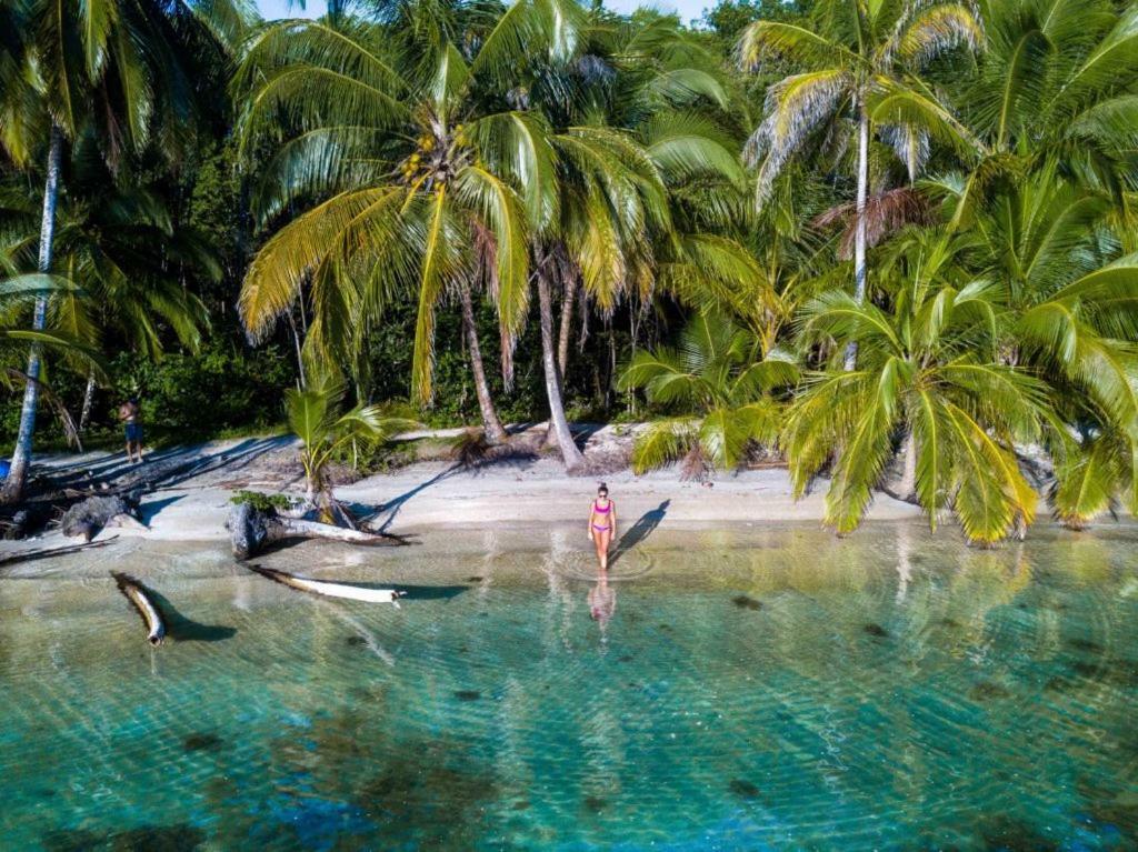 Coconut Hostel Bocas Town Exterior foto